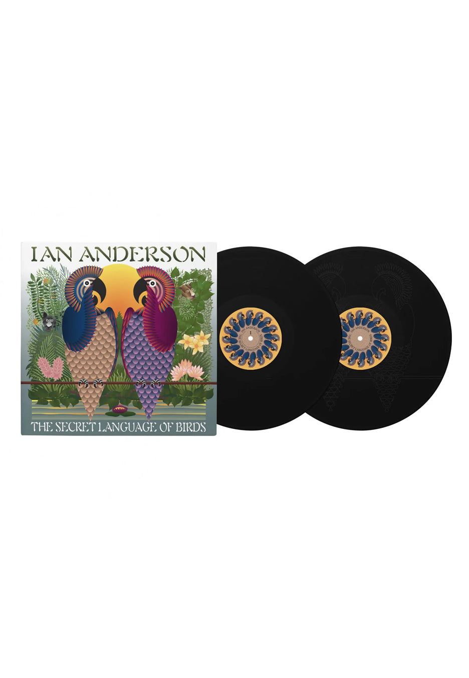 Ian A. Anderson - The Sceret Language Of Birds - 2 Vinyl | Neutral-Image