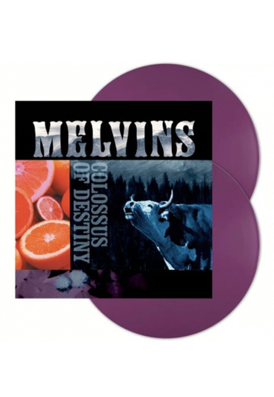 Melvins - Colossus Of Destiny Ltd. Purple - Colored 2 Vinyl | Neutral-Image