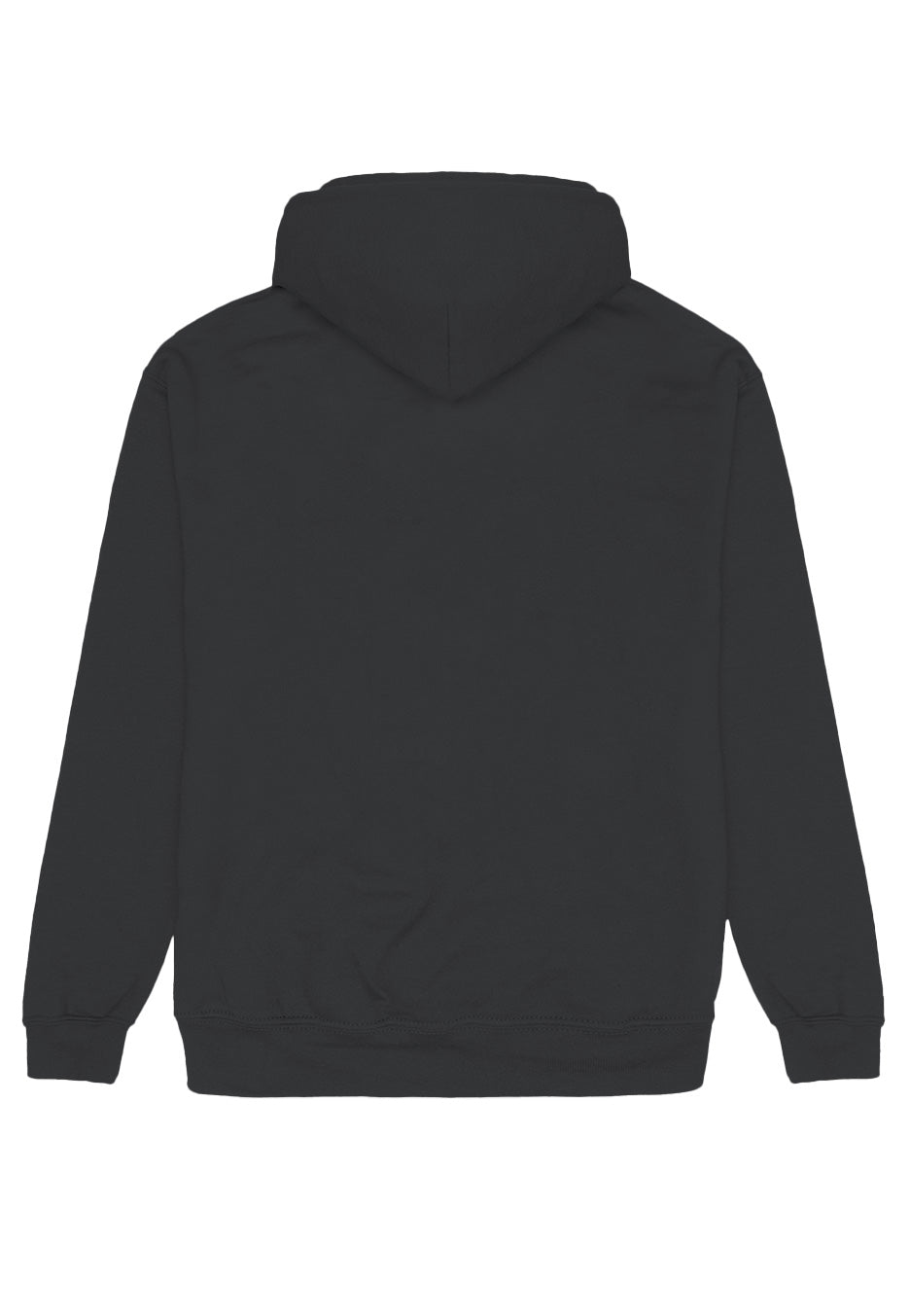 Led Zeppelin - Icarus 77 Tour Slate - Hoodie | Neutral-Image