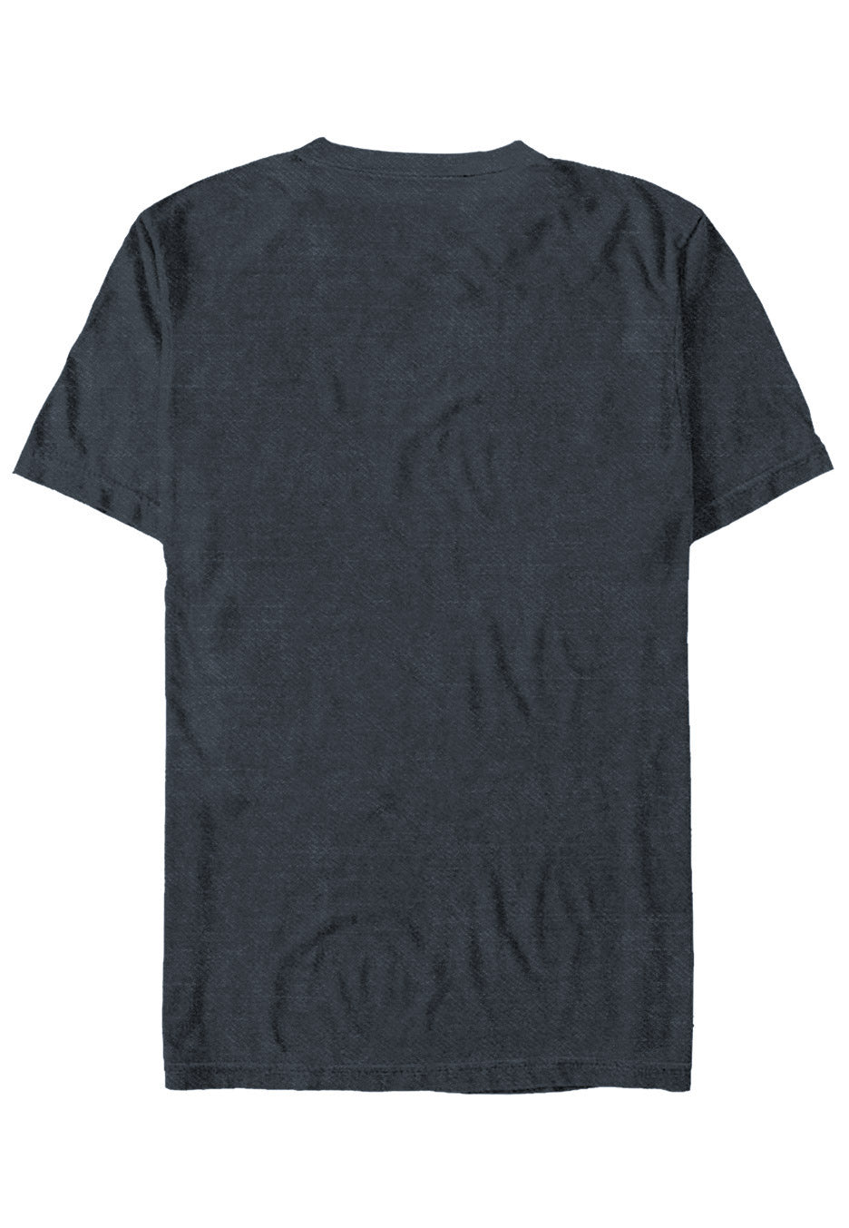 Pink Floyd - Wish You Were Here Grey - T-Shirt | Neutral-Image